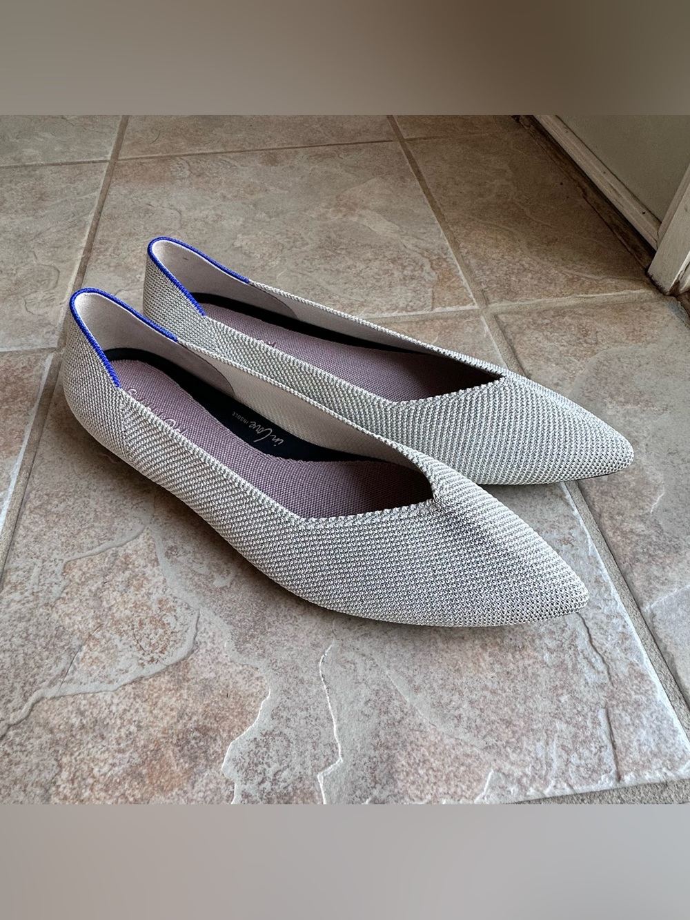 Rothy's The Pointed Toe Ballet Flat Diamond Metallic Shimmer